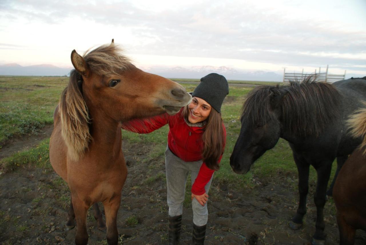 Husey Hostel & Horsefarm Έγκιλσταδιρ Εξωτερικό φωτογραφία