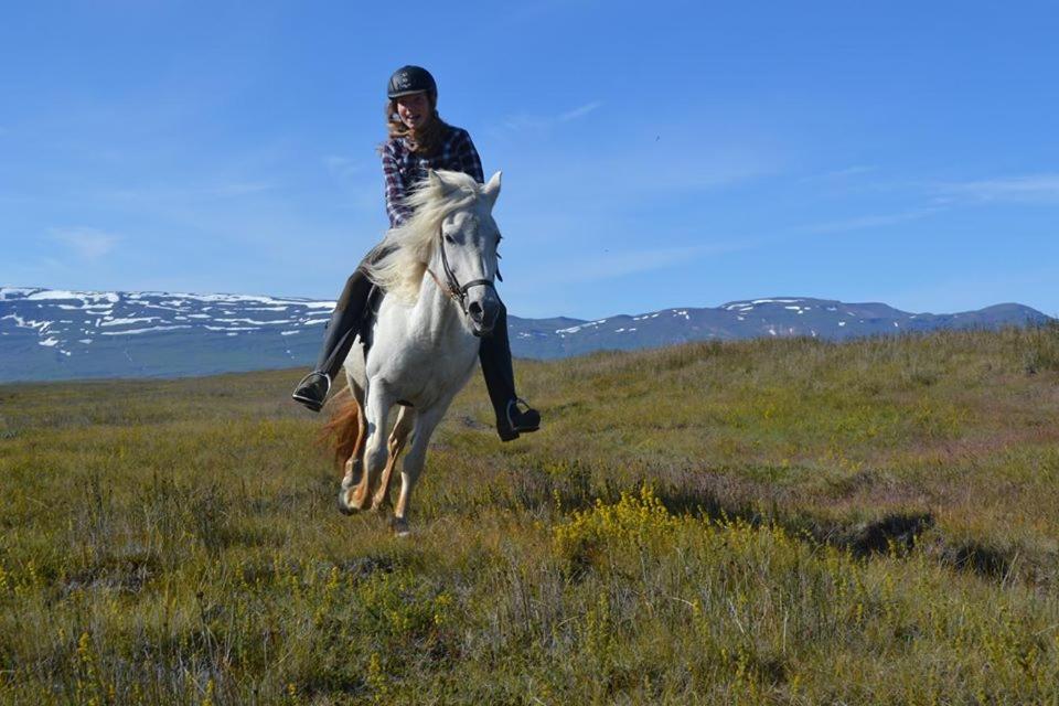 Husey Hostel & Horsefarm Έγκιλσταδιρ Εξωτερικό φωτογραφία