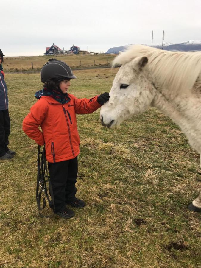 Husey Hostel & Horsefarm Έγκιλσταδιρ Εξωτερικό φωτογραφία