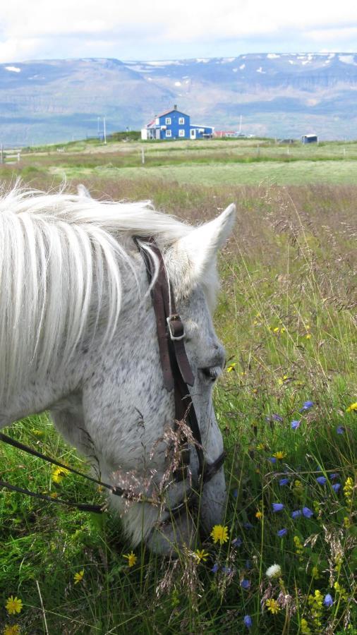 Husey Hostel & Horsefarm Έγκιλσταδιρ Εξωτερικό φωτογραφία