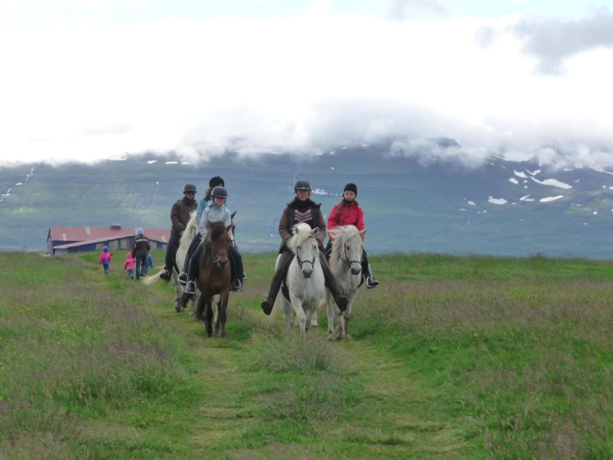 Husey Hostel & Horsefarm Έγκιλσταδιρ Εξωτερικό φωτογραφία