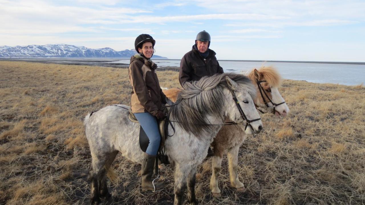Husey Hostel & Horsefarm Έγκιλσταδιρ Εξωτερικό φωτογραφία