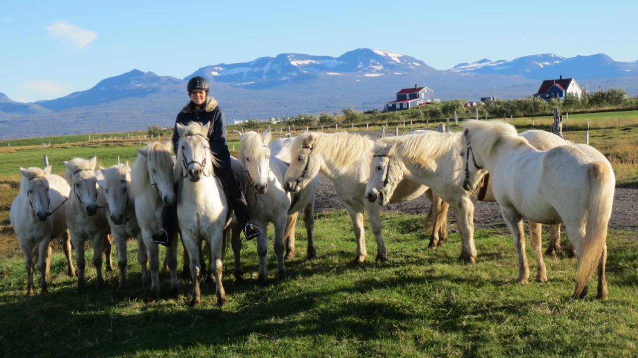 Husey Hostel & Horsefarm Έγκιλσταδιρ Εξωτερικό φωτογραφία